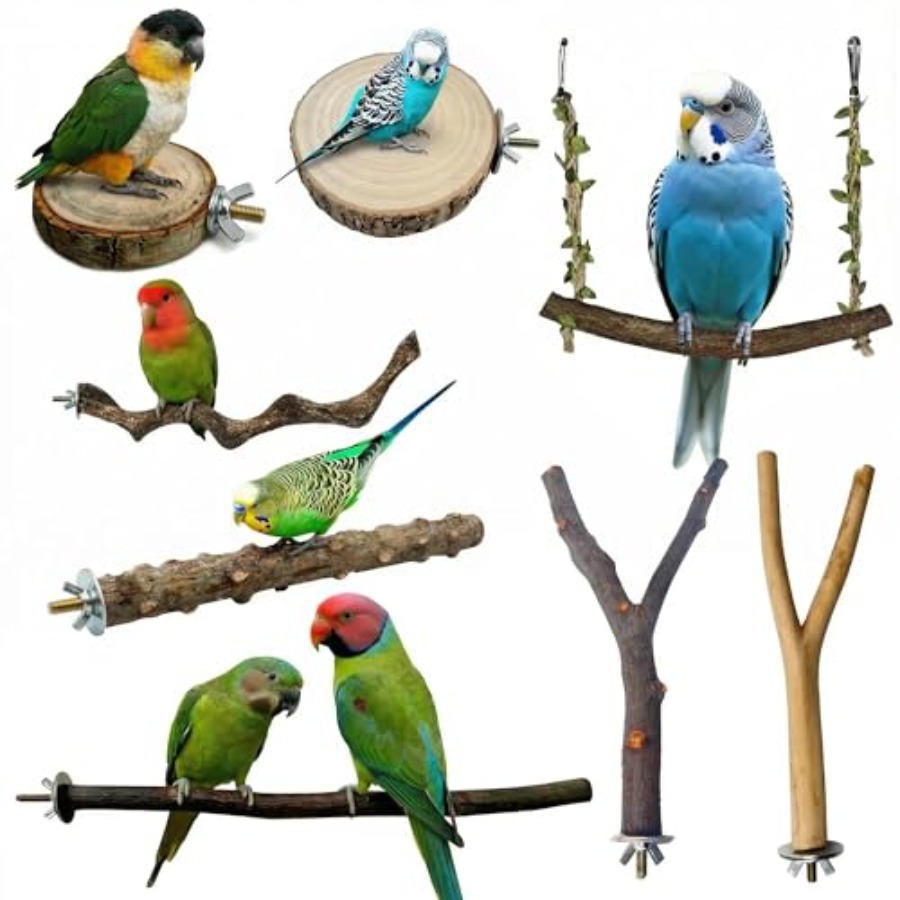 Health & Wellness U Of T - 8PCS natural wood bird perches for