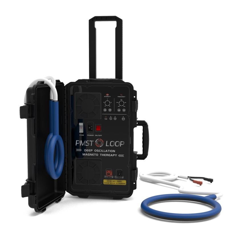 PMST LOOP PEMF Therapy Horse E - Therapy Health And Wellness review and price