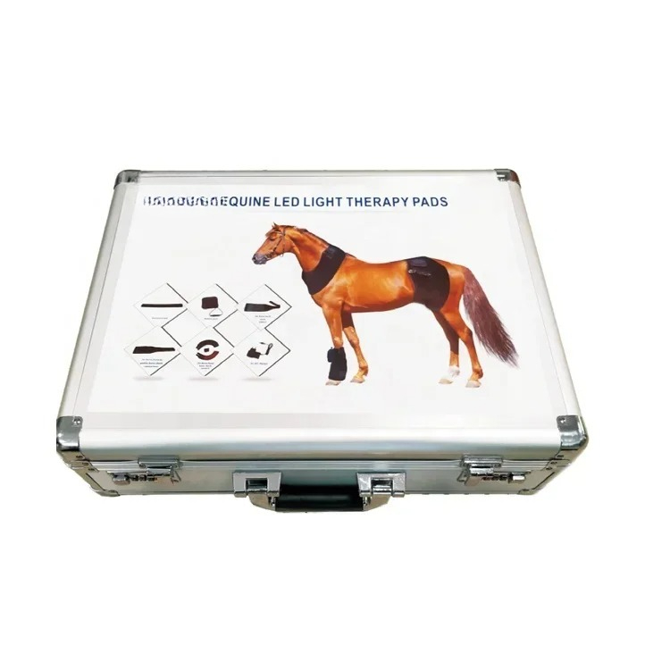 LED Lamp Therapy Machine for H - Therapy Health And Wellness review and price