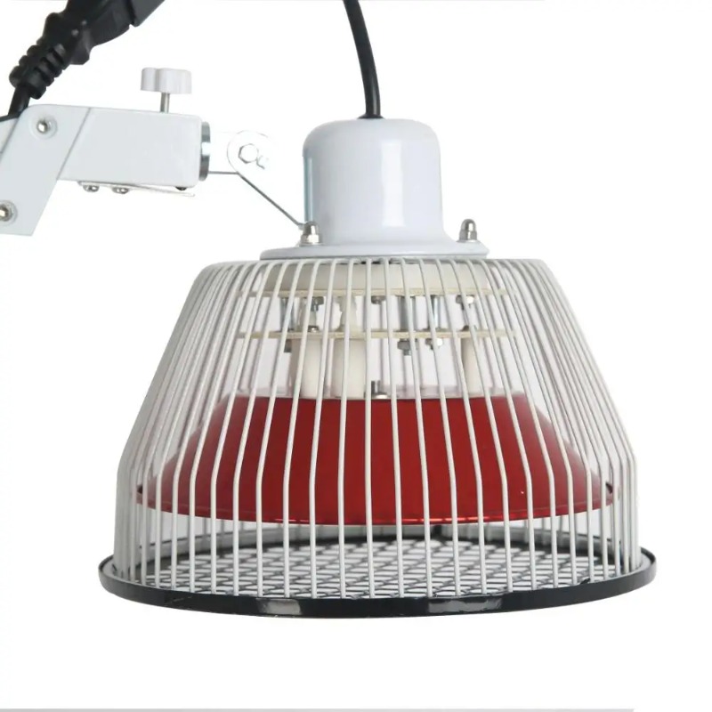 Traditional Chinese TDP Lamps  - Therapy Health And Wellness review and price