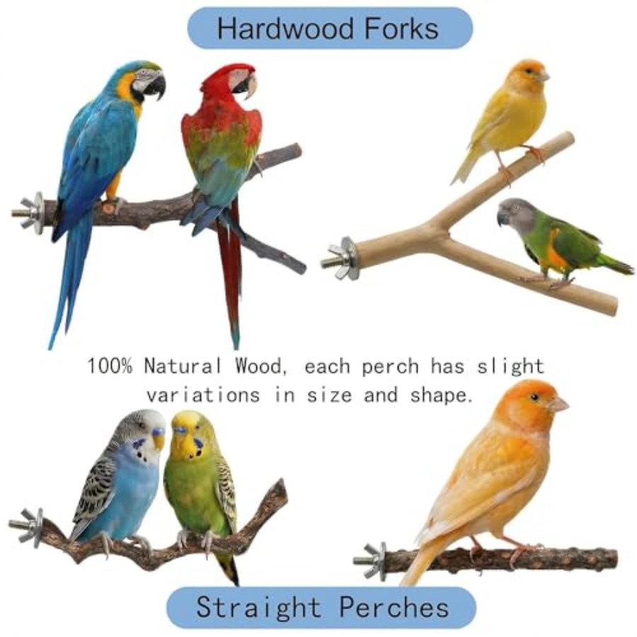 8PCS natural wood bird perches - Health & Wellness U Of T review and price