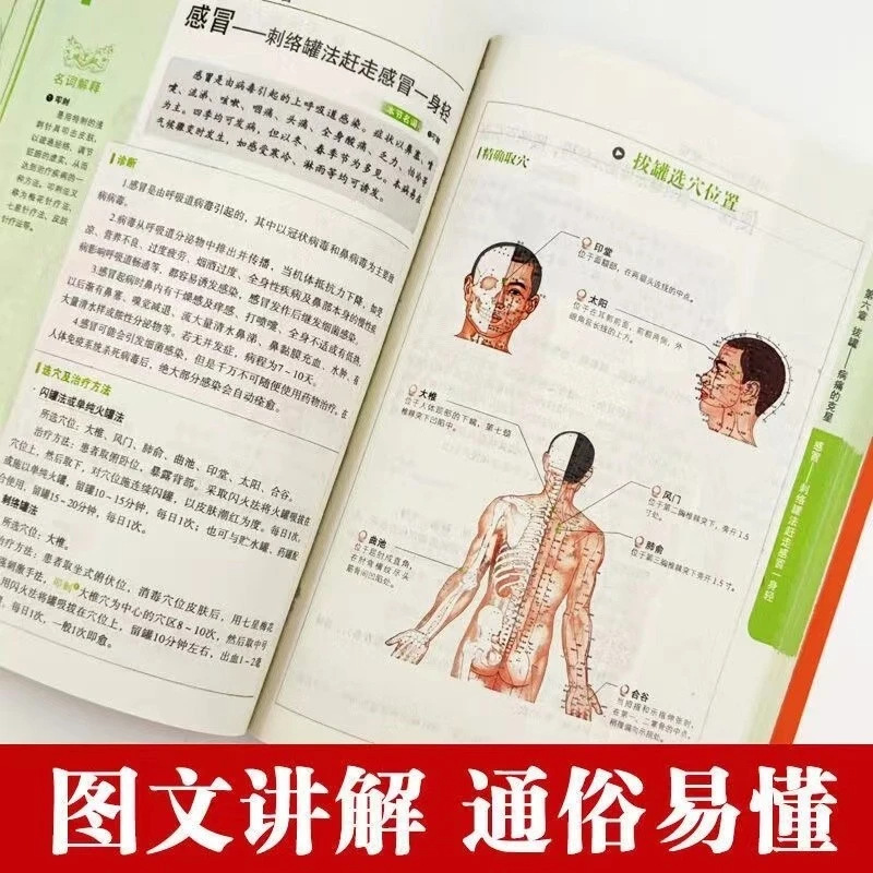 Holistic Health & Wellness Ser - Therapy Health And Wellness review and price